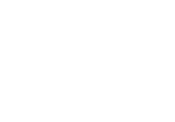 The Best Quality American Flag For Online Sale