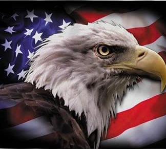 https://www.americanflags4less.com/wp-content/uploads/2022/02/American-Strong-Eagle-Flag-324x291.png